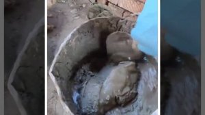 ЦПС или самодельный раствор. Что лучше. Мой опыт применения.