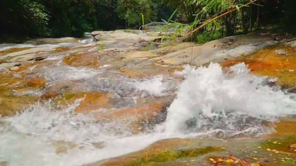 Waterfall Sounds Short | Nature Sounds-Waterfall-Relaxing Meditation | Water Falling Sound Effect