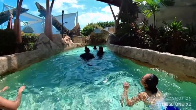 Adventure Cove Waterpark 2022, Resorts World Sentosa,Full tour Dolphin Bay & Sides #Adventurecove смотреть онлайн