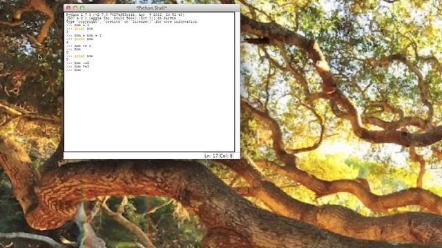 Basic Python: Numeric Variables смотреть онлайн