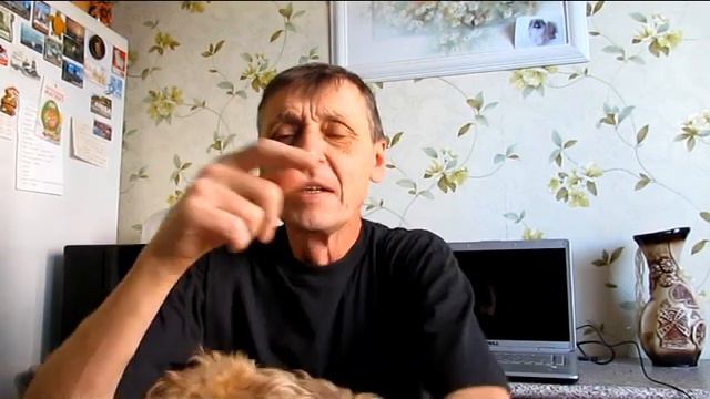 Астрономия. " Утренняя звезда " смотреть онлайн