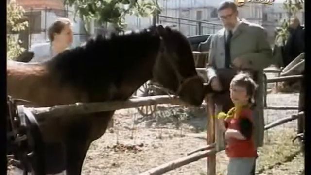 Сэмпл Чародейки из предместья.avi смотреть онлайн