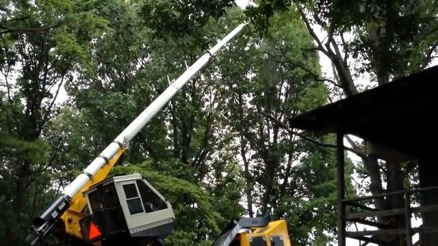 Удивительное оборудование по посадке, пересадке и обрезанию деревьев смотреть онлайн