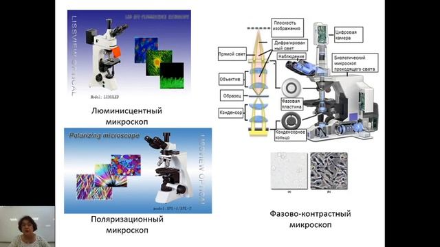 Биология. 9-11 класс «Цитология. Гистология. Методы исследования» смотреть онлайн