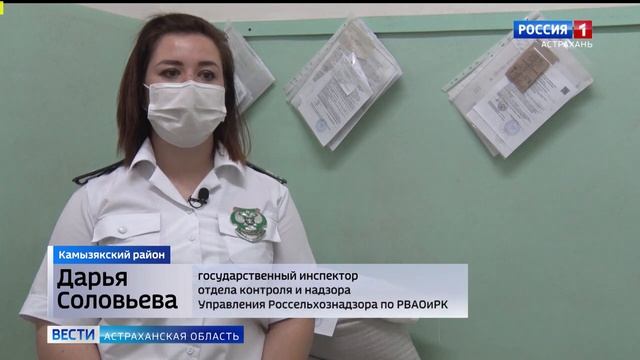 В Камызякской районной больнице проверили крупы на качество и безопасность.mp4 смотреть онлайн