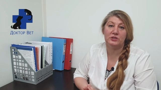 Обследование ежика смотреть онлайн