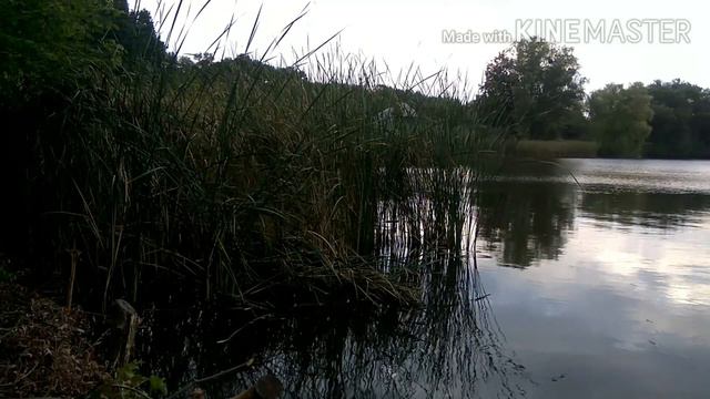 Хорошая рыбалочка смотреть онлайн