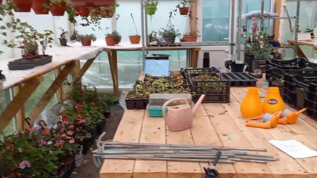 Растения переезжают в тёплую теплицу смотреть онлайн