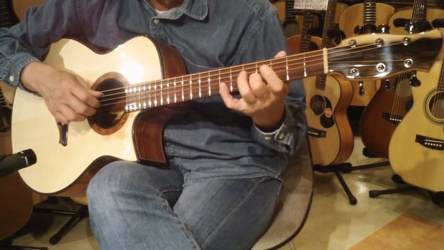 Dolphin Guitars - FUJII GUITARS OM Cutaway (Sacha Rosewood) Demo - Player 細川MASH смотреть онлайн