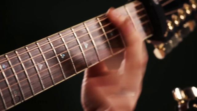 Ovation Guitars - Ian Ethan Case