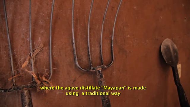 Destileria Artesanal de Agave Mayapan смотреть онлайн