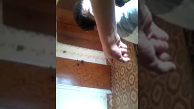 Дора НАЗАРБАЕВ (один день без Доры) смотреть онлайн