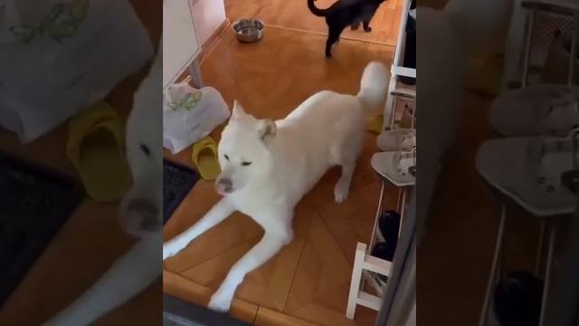 Просто вспоминала кто это смотреть онлайн