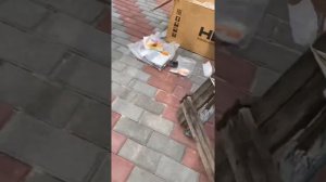 Замена масла в лодочном моторе ( в ноге) HDX в домашних условиях