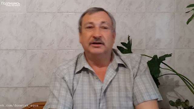 ответы № 7, все о рыбках, лекарства, как содержать, Aquariumvissen, Akvarijske Ribe, Aquarium Fishe