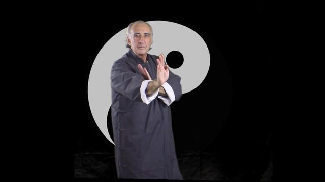 WingChun-Hand Movements