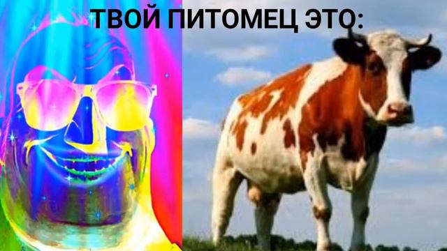 Твой питомец это: смотреть онлайн