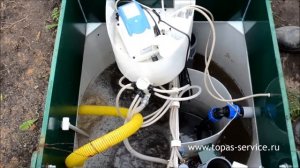 Евробион обслуживание