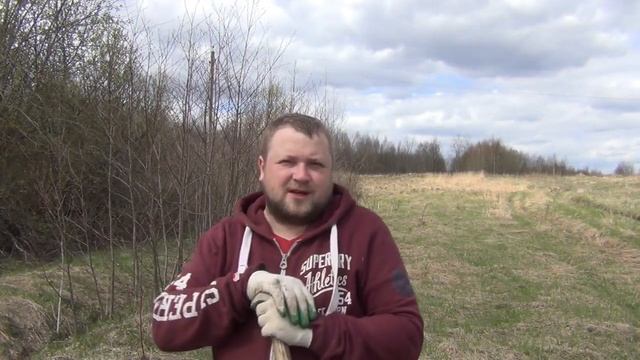 Купил землю! Для чего? для кого? Сад на 300 саженцев! Очистил участок! Какие саженцы выбрать! смотреть онлайн