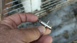 Ниппельная поилка для кроликов, как приучить пить!