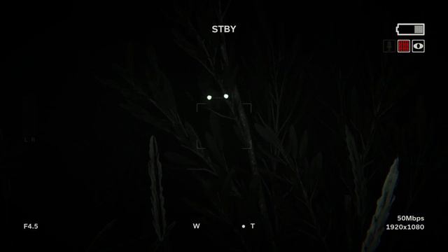 Outlast 2 [Non-Scary Edition] смотреть онлайн