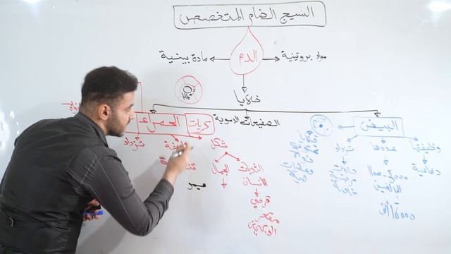 فصل اول محاضرة 8 ??