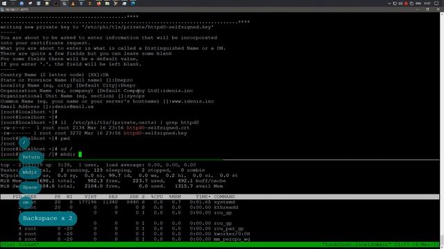 LFCE | Создание сертификатов TLS используя OpenSSL | Oracle Linux 8.3