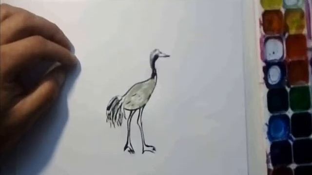 Рисуем цаплю. Рисунок цапли. How to draw a heron. смотреть онлайн