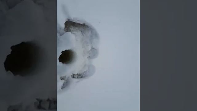 Ухта,Ижма,рыбалка Хариус февраль 2020г.(1) смотреть онлайн