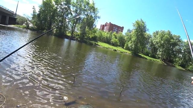 ЛОВИМ УКЛЕЙКУ НА ЛЕТНЮЮ УДОЧКУ И ОНА КЛЮЁТ КАК ИЗ ПУЛЕМЁТА НА РЕКЕ ТАГИЛ! ЛОВИМ НА УРАЛЕ! смотреть онлайн