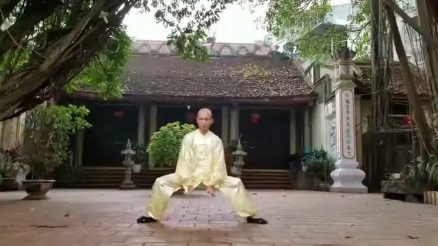 Asians Traditional Martial Art For Hard Qigong Training 