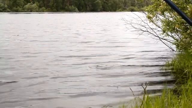 Самозасекающий поплавок смотреть онлайн
