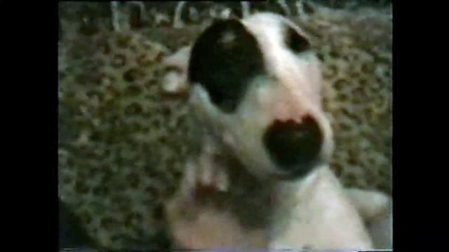 Атрибуты 90х смотреть онлайн