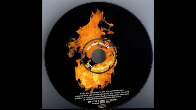 The Grim Reaper - The Roof Is On Fire (Mark & Ace Remix) смотреть онлайн