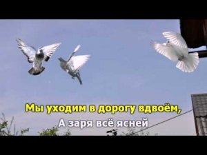 Прощайте голуби