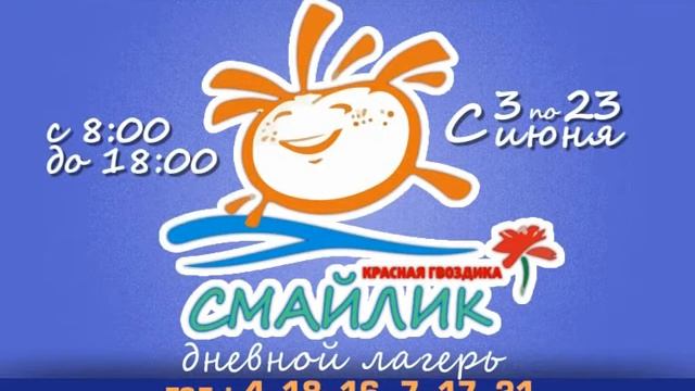 Солнышко Красная Гвоздика