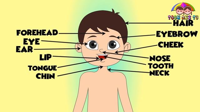 All Parts Of The Body In English | # Human Body Parts Names For Kids|Human Body Parts Names For Kid