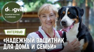 Большой Швейцарский зенненхунд – Надежный охранник – Питомник «Зенненхунд России»