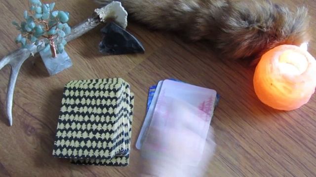 515. My 2023 ORACLE DECK COLLECTION смотреть онлайн