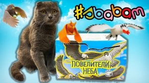 НОВИНКА от СБАБАМ КРУТЫЕ ПТИЦЫ / ПОВЕЛИТЕЛИ НЕБА