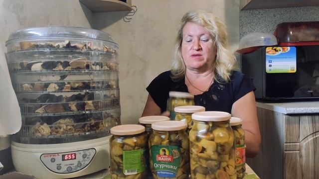 Сушка и маринование белых грибочков ! смотреть онлайн