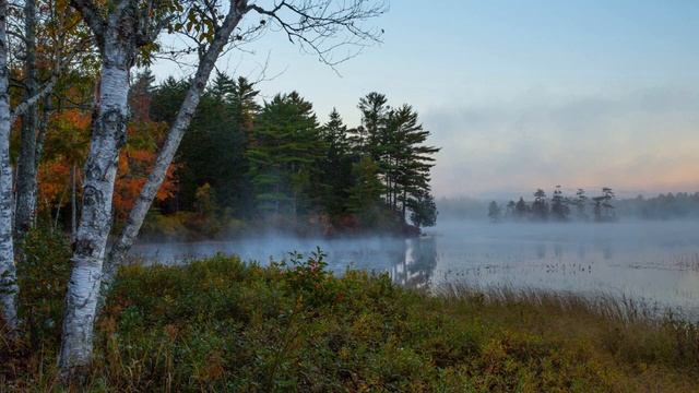 Завораживающие звуки природы пение птиц, для расслабления, снятия стресса, умиротворения, сна. смотреть онлайн