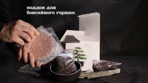 Набор для создания бонсай "Сад Радости", "Мирт"