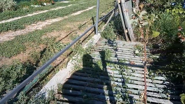Продолжаем строить забор. смотреть онлайн