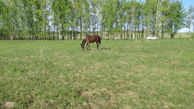 Сюрприз от погоды смотреть онлайн
