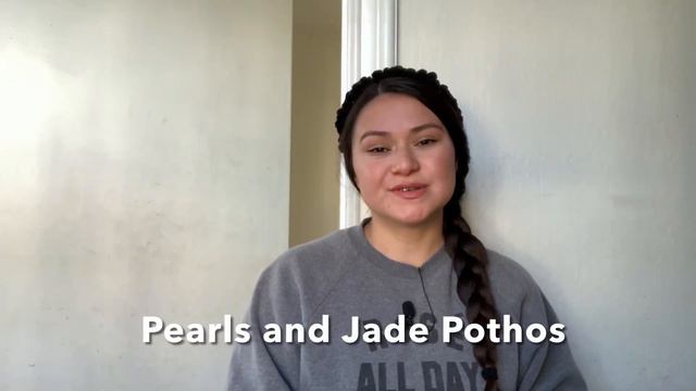 Collection de plantas colgantes largas y como las hago crecer|orbelina marquez смотреть онлайн