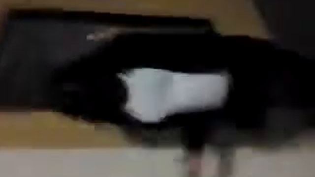 Im A Younn Pimp , смотреть онлайн