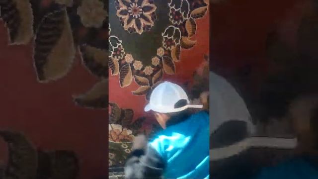 Как быстро очистить палас? смотреть онлайн