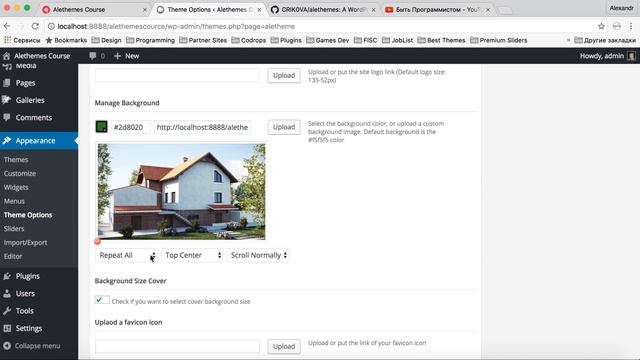 WordPress фрэймворк Alethemes #2. Theme Options Часть 1. Уроки WordPress смотреть онлайн
