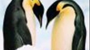 İsmail YK - Allah Belanı Versin